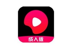 心糖Vlog官网价格揭秘：品质与性价比的完美结合