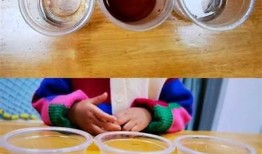糖心的生物老师在线课堂：探索生物奥秘与学习乐趣