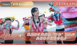 国产糖心CC：甜蜜健康的新选择，带你体验不同的味觉之旅