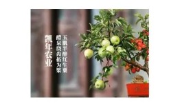 糖心原创免费在线观看，尽享甜蜜故事的欢乐时光