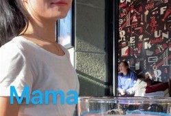 糖心Vlog：兔子日常趣事分享，快来看看可爱兔兔的视频吧！