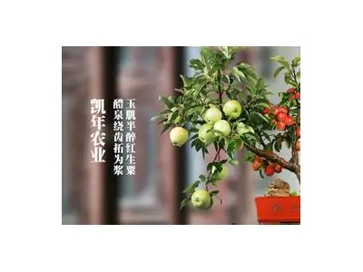 糖心原创免费在线观看，尽享甜蜜故事的欢乐时光